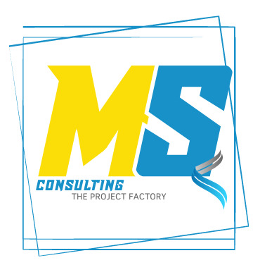 MS Consulting - Avner