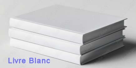 Livre Blanc 