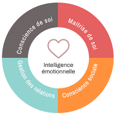 PMI France | Grand-Est | Intelligence Emotionnelle | 6 novembre 2024 18h30